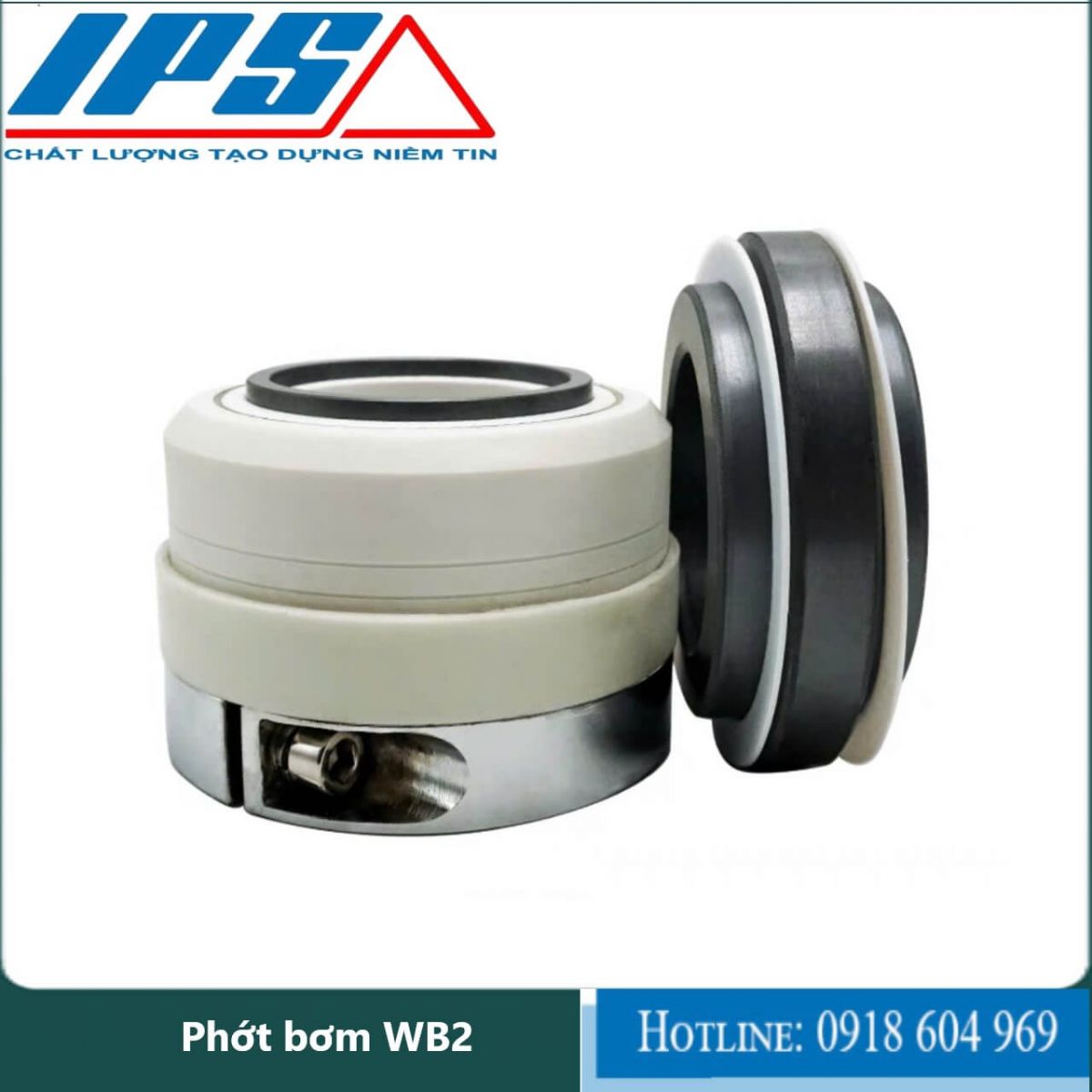 Phớt bơm WB2-17(1)